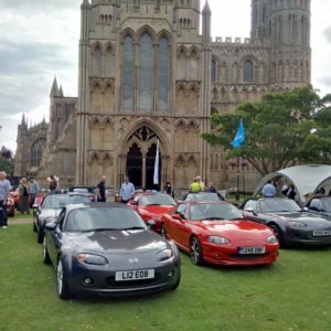 Ely Cars on the Green