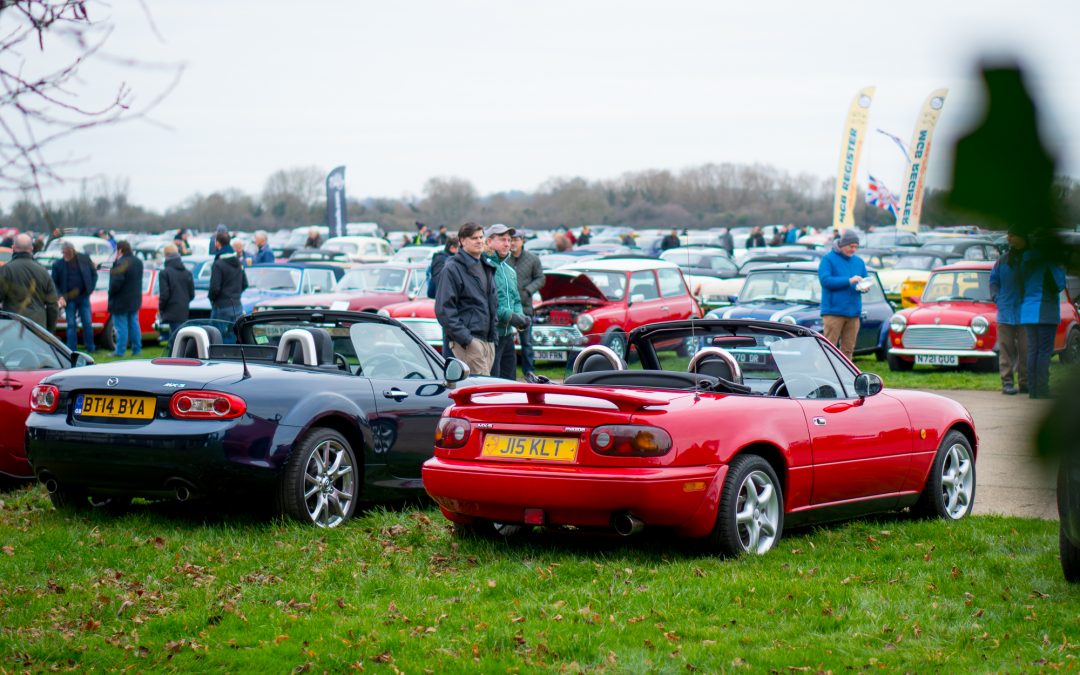 MX-5s (and dogs) at Sunday Scramble