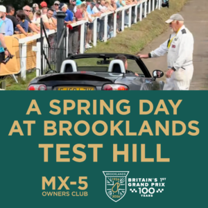 Spring Day at Brooklands: Test Hill